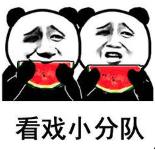 娱乐圈吃瓜表情符号大全,吃瓜群众必备表情包手册